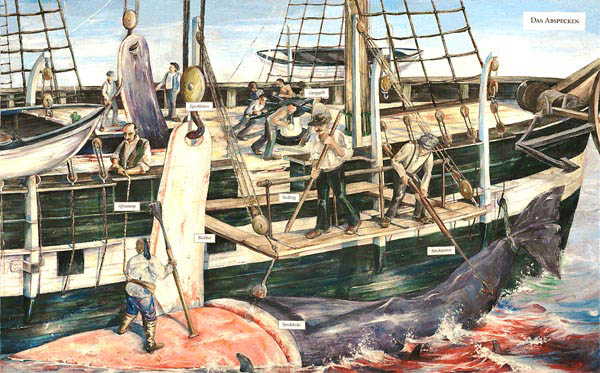 Moby Dick Abspecken