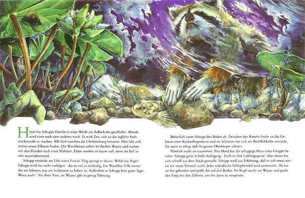 Waschb&auml;r Fischen (Diplomarbeit)